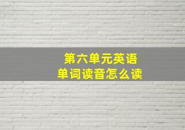 第六单元英语单词读音怎么读