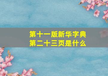 第十一版新华字典第二十三页是什么