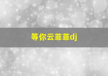 等你云菲菲dj