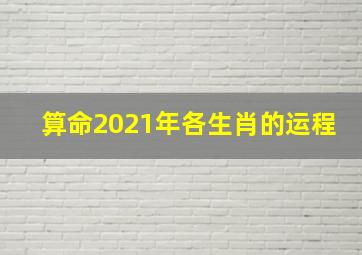 算命2021年各生肖的运程