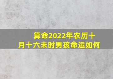 算命2022年农历十月十六未时男孩命运如何