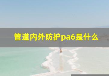 管道内外防护pa6是什么