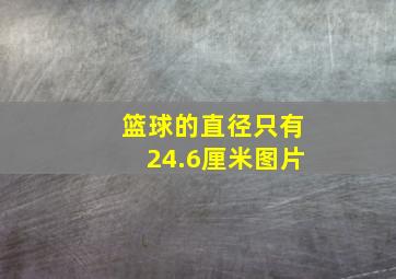 篮球的直径只有24.6厘米图片