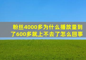 粉丝4000多为什么播放量到了600多就上不去了怎么回事