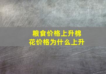 粮食价格上升棉花价格为什么上升