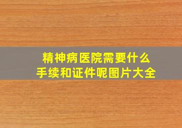 精神病医院需要什么手续和证件呢图片大全