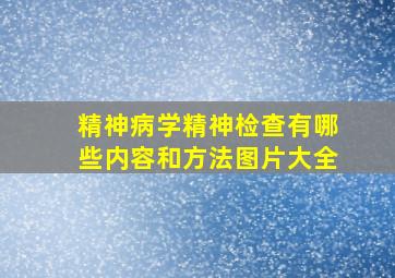 精神病学精神检查有哪些内容和方法图片大全