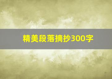 精美段落摘抄300字