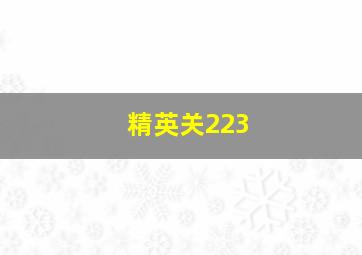 精英关223