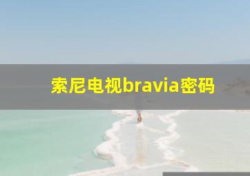 索尼电视bravia密码