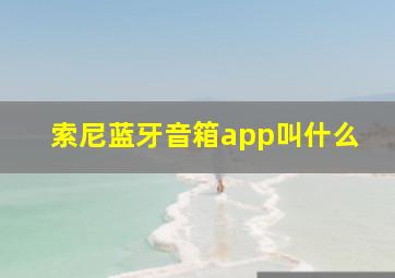 索尼蓝牙音箱app叫什么