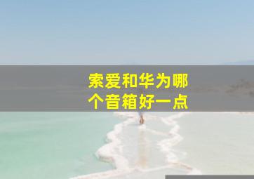 索爱和华为哪个音箱好一点