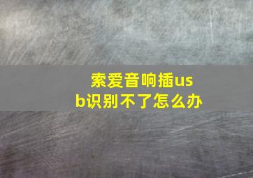 索爱音响插usb识别不了怎么办