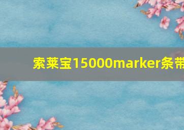 索莱宝15000marker条带