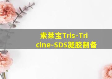 索莱宝Tris-Tricine-SDS凝胶制备