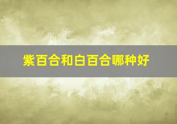 紫百合和白百合哪种好