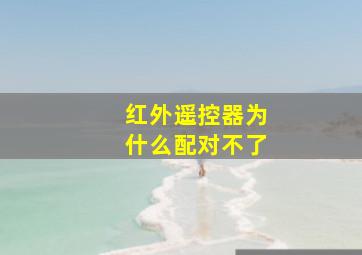 红外遥控器为什么配对不了