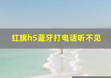 红旗h5蓝牙打电话听不见