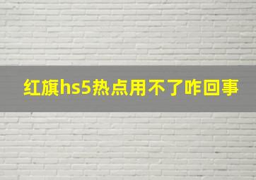 红旗hs5热点用不了咋回事