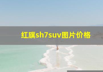 红旗sh7suv图片价格