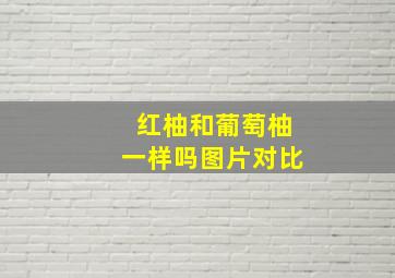 红柚和葡萄柚一样吗图片对比