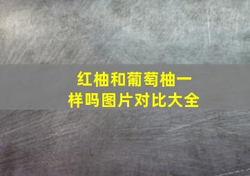 红柚和葡萄柚一样吗图片对比大全