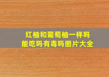 红柚和葡萄柚一样吗能吃吗有毒吗图片大全