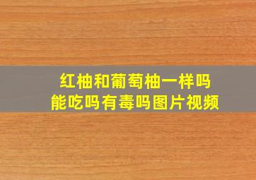 红柚和葡萄柚一样吗能吃吗有毒吗图片视频