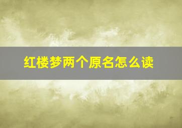 红楼梦两个原名怎么读