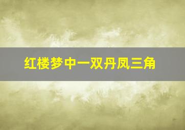 红楼梦中一双丹凤三角