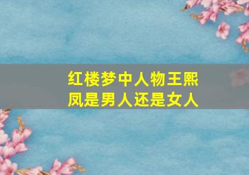 红楼梦中人物王熙凤是男人还是女人