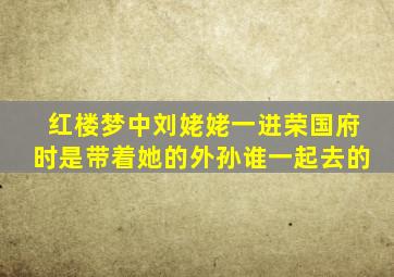 红楼梦中刘姥姥一进荣国府时是带着她的外孙谁一起去的