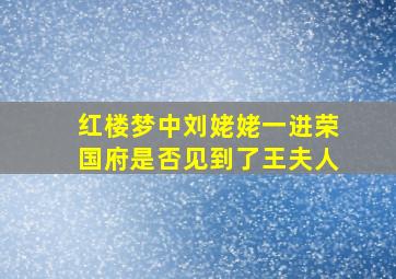 红楼梦中刘姥姥一进荣国府是否见到了王夫人