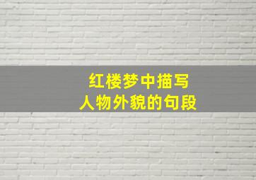 红楼梦中描写人物外貌的句段