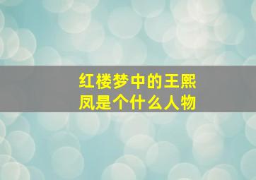 红楼梦中的王熙凤是个什么人物