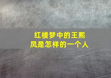 红楼梦中的王熙凤是怎样的一个人