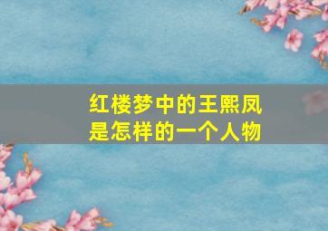 红楼梦中的王熙凤是怎样的一个人物