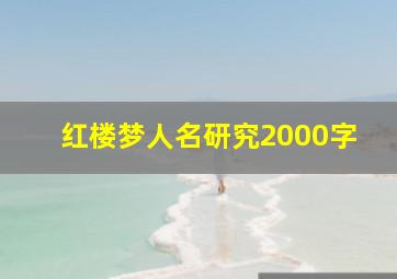 红楼梦人名研究2000字