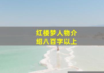 红楼梦人物介绍八百字以上