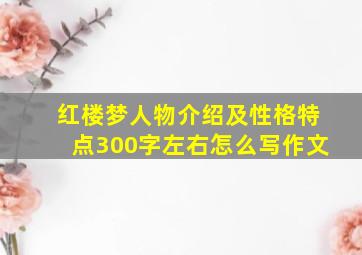 红楼梦人物介绍及性格特点300字左右怎么写作文