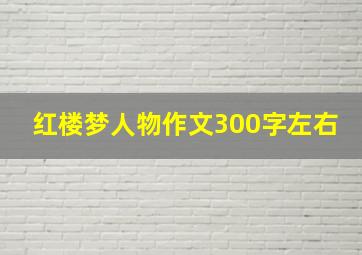 红楼梦人物作文300字左右