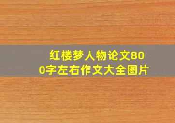 红楼梦人物论文800字左右作文大全图片