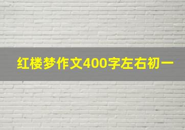 红楼梦作文400字左右初一