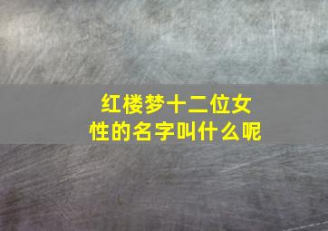 红楼梦十二位女性的名字叫什么呢