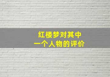 红楼梦对其中一个人物的评价