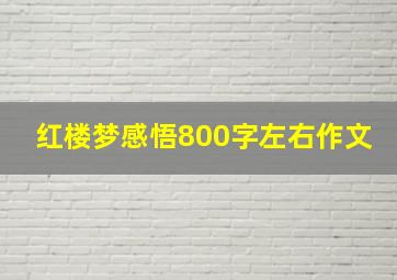 红楼梦感悟800字左右作文