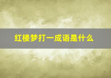 红楼梦打一成语是什么