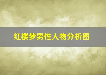 红楼梦男性人物分析图