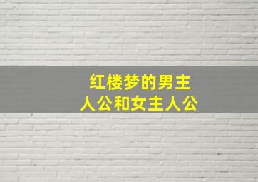 红楼梦的男主人公和女主人公