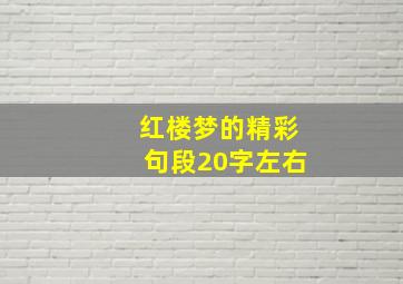 红楼梦的精彩句段20字左右